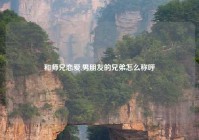 和师兄恋爱,男朋友的兄弟怎么称呼