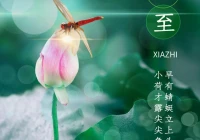 2022搞笑语录文案(年夜饭文案2022年朋友圈高级感)