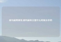 胡马丽男朋友,胡玛丽和王雷什么时候分手的