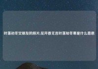 叶落初冬女朋友的照片,花开香无言叶落知冬寒是什么意思