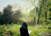 句句扎心催泪的伤感短句(有没有一见倾心)