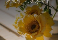 感情与情感说说：那些触动心灵的真挚瞬间