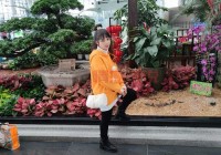 寿光征婚交友平台哪个好？对比这几个帮你选！