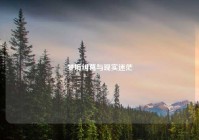 梦境纠葛与现实迷茫