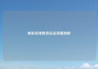 体彩足球胜负玩法深度剖析