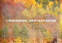 CF 网游准星调整指南，精准调小准星提升射击精度