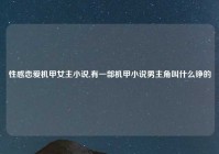 性感恋爱机甲女主小说,有一部机甲小说男主角叫什么铮的