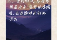 说说情感：理解与珍惜之间的心路历程