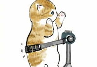 减肥搞笑语录(减肥标语搞笑又幽默的)