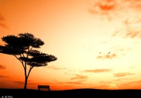 女人右眼跳搞笑语录(有没有令人不寒而栗的故事)