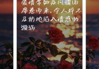 短句道尽爱情心酸：爱过，痛过，才会懂得