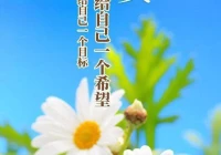 心情说说感悟生活经典句子(大专的学校生活是否跟正常的大学生活差距很大)