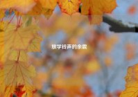 放学铃声的余震