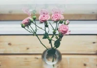 爱情说说适合发朋友圈的句子(你见到有哪些暧昧到极致的句子)