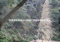 经典搞笑语录2018(探探广告语经典语录搞笑)