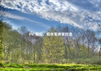 DNF 鬼泣，暗夜鬼神掌控者