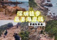 深圳火鸟户外活动召集：西冲露营、徒步、烧烤等精彩体验等你来！
