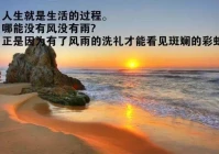 励志语录(改正错误励志语录)