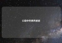 公园中的偶然邂逅