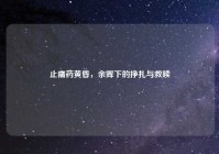 止痛药黄昏，余晖下的挣扎与救赎