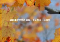被同事脱单的诗,常常一个人却没一丝孤单