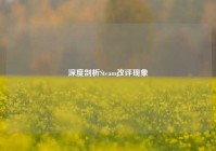 深度剖析Steam改评现象