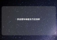 侠盗猎车秘籍全方位剖析