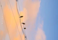 一秒泪崩的句子(影视剧中哪些台词让你听了有种想哭的感觉)