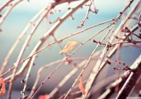 表示自己恋爱的说说(小说中有哪些把你虐的死去活来的句子)