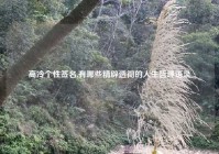 高冷个性签名,有哪些精辟透彻的人生哲理语录