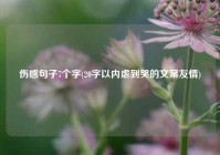 伤感句子7个字(20字以内虐到哭的文案友情)