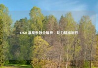 CSGO 准星参数全解析，助力精准制胜