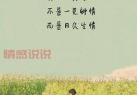 唯美动人的情感说说合集，让心灵驻足