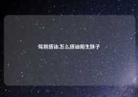 驾照搭讪,怎么搭讪陌生妹子