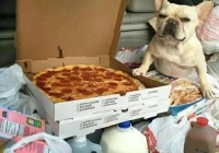 搞笑的短句(一语双关幽默句子)