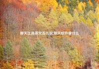 聊天工具英文怎么说,聊天软件是什么