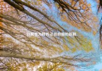 以脱单为网名,正在拍摄的新剧