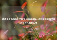 婆婆遇上妈妈和儿子聊天,当婆婆遇到一位特别不懂事又没良心的儿媳怎么办