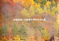 深海独舞，与孤独共舞的生命礼赞