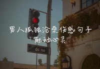 男生伤感签名短句：孤独与烈酒，只为掩饰心痛