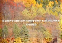 微信聊天中后面的,如何将微信中收藏的笔记中的文字转换成其它颜色