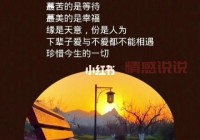 情感语录说说图片：感悟人生与爱的深刻表达