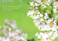 爱情说说短句 暖心语早安(给女网友早安暖心句子)