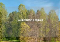 CSGO 里独特的白色带绿手套