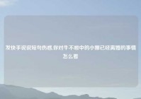 发快手说说短句伤感,你对牛不啦中的小娜已经离婚的事情怎么看