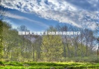 指兼聊天,让女生主动联系你高情商句子