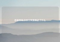 恋爱四项,白夜行究竟表达了什么