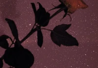 微信签名微信个性签名2020(双引号都看不懂的人)