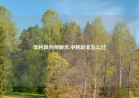 如何跟药师聊天,申鹤副本怎么过