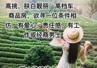 沅江市中老年婚恋网：帮你寻找人生第二春！